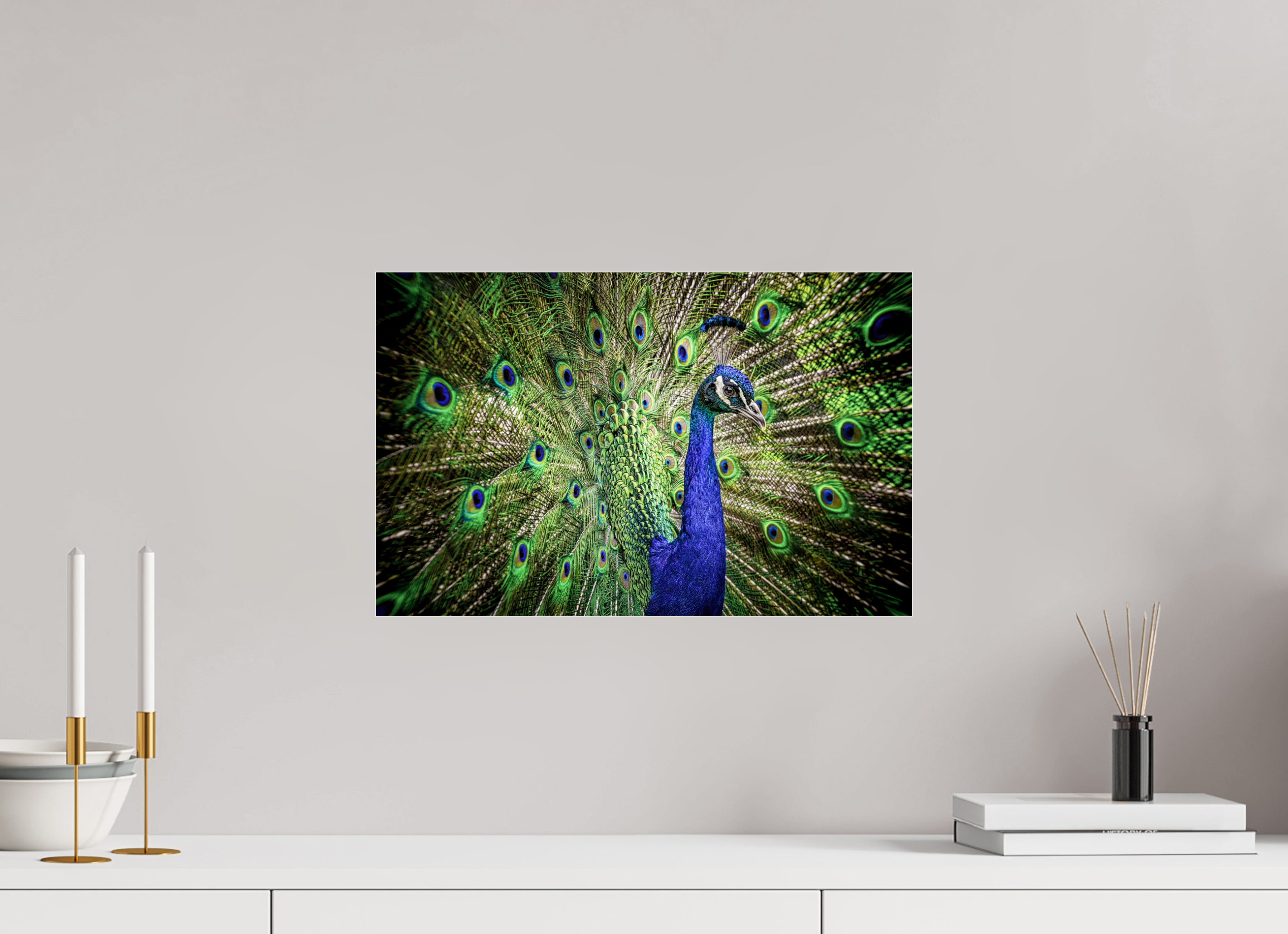 46.8 x 30 cm, Premium Acrylic Print – Glossy The Peacock’s Crown