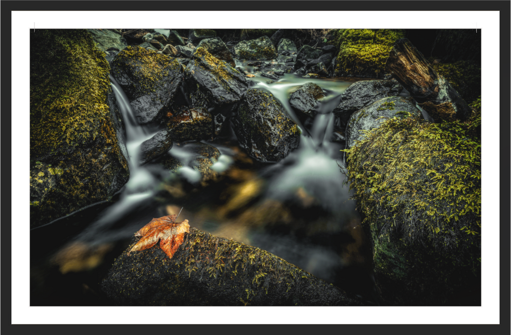 Main image Autumn's Passage — Colly Brook, Dartmoor