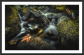 Main image Autumn's Passage — Colly Brook, Dartmoor
