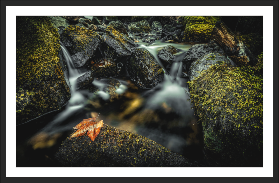 Main image Autumn's Passage — Colly Brook, Dartmoor
