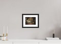 20 x 15 cm, Premium Fine Art – Baryta – Black Frame – Museum Glass Where the Woodland Glows
