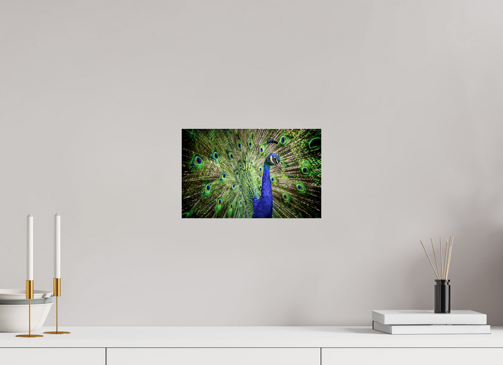 31.2 x 20 cm, Premium Acrylic Print – Glossy The Peacock’s Crown
