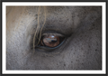 Main image Window to the Soul