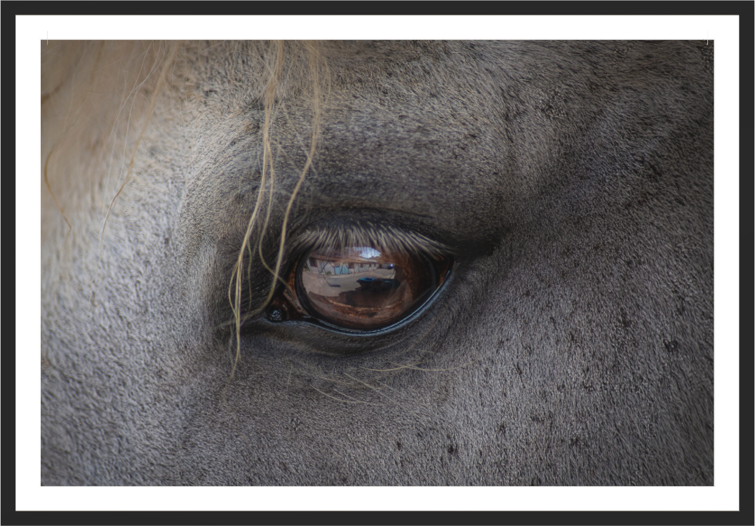 Main image Window to the Soul