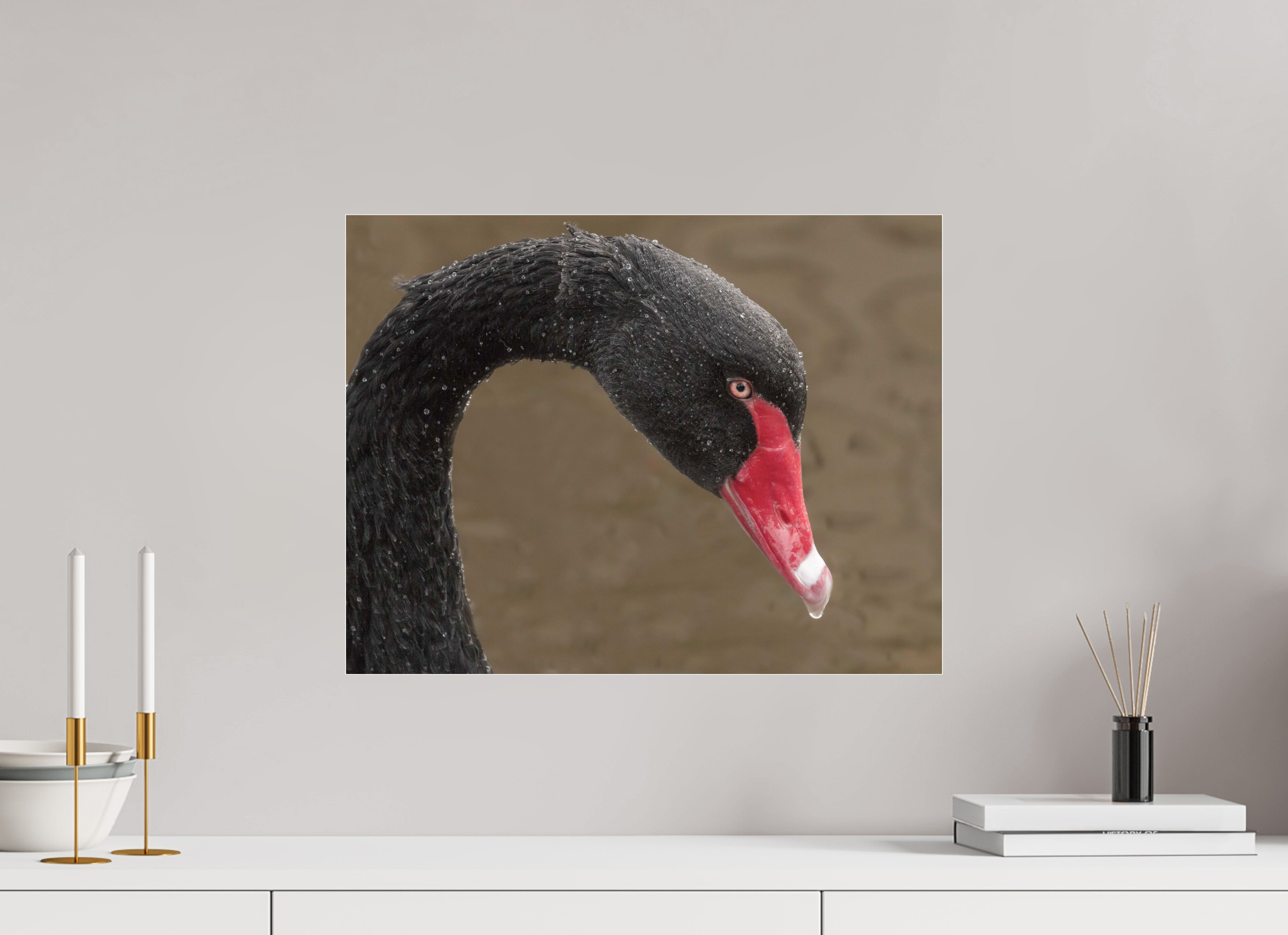 52 x 40 cm, Premium Acrylic Print – Glossy Emerging