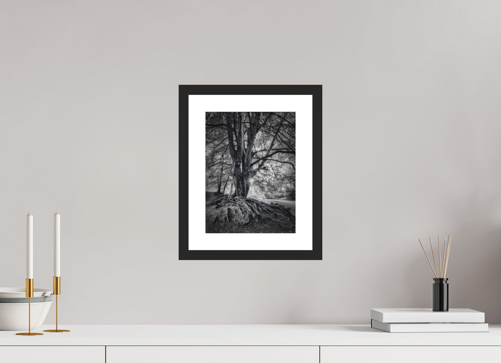 21 x 28 cm, Premium Fine Art – Baryta – Black Frame – Museum Glass Veteran of the Forest