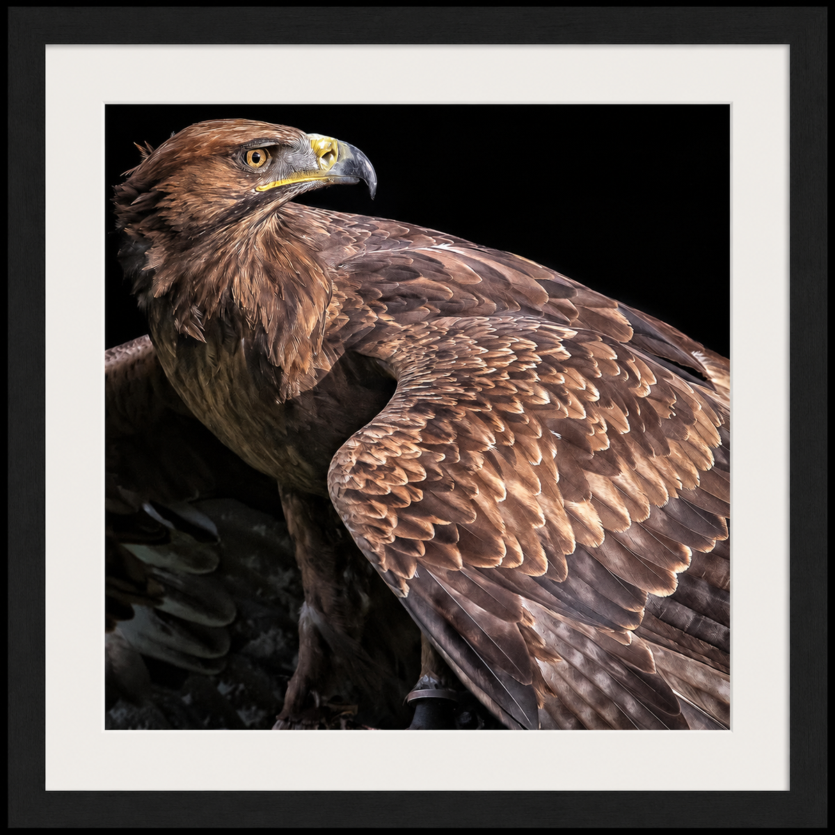Main image Sovereign