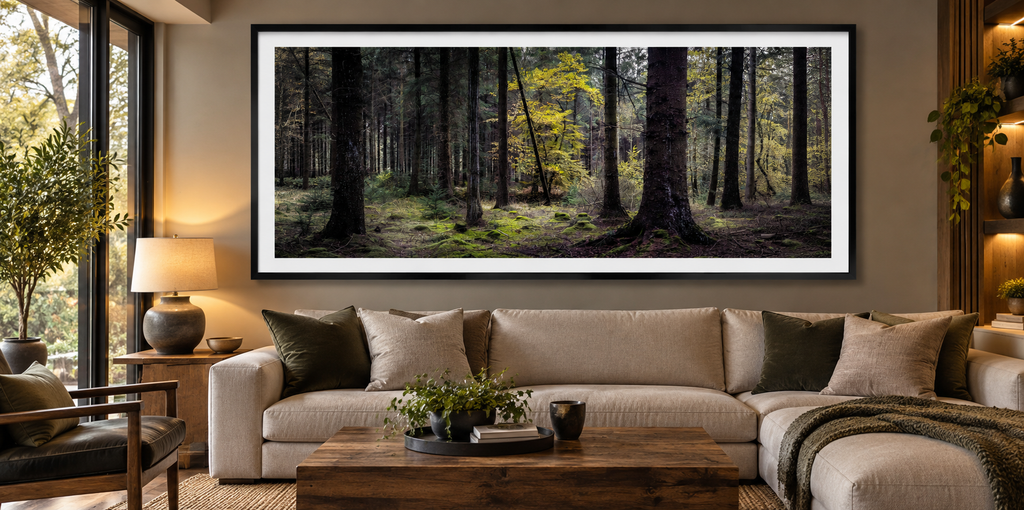 Where the Light Finds You — Haldon Forest, Devon