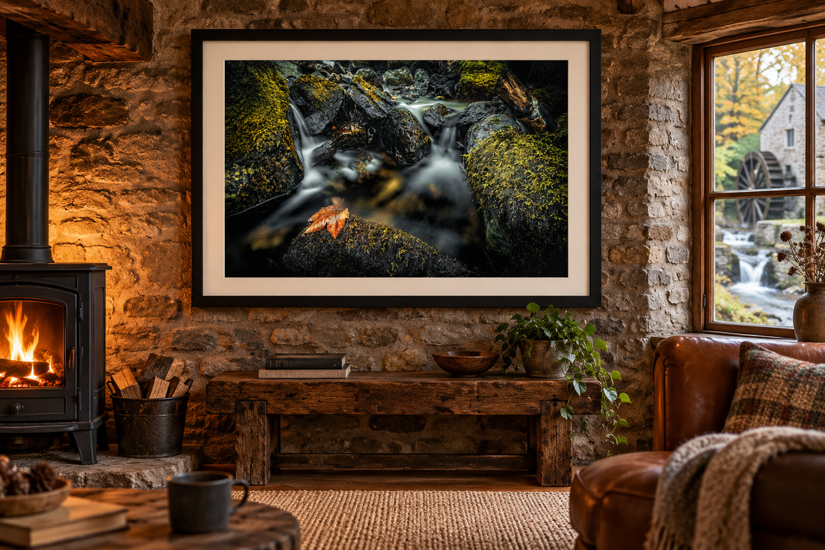 Autumn's Passage — Colly Brook, Dartmoor