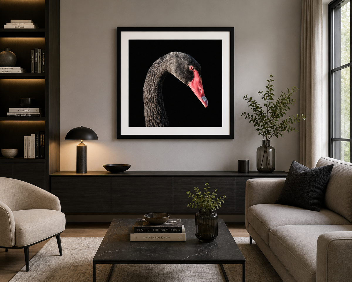 Black Swan
