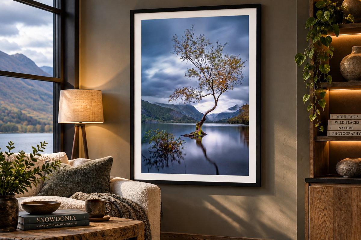 Quiet Strength — The Lone Tree, Llanberis