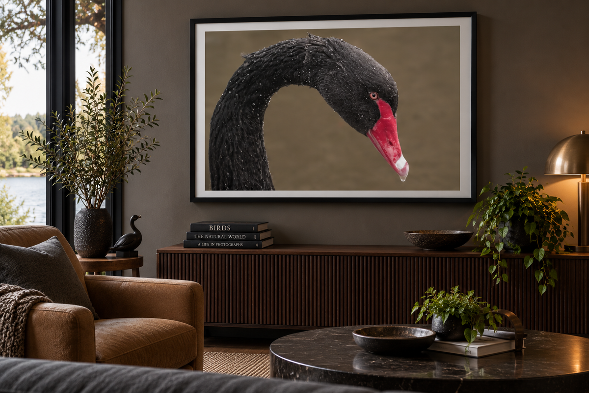A magnificent peacock displays its extraordinary plumage in a dazzling celebration of colour, pattern and natural beauty. Rich blues and vibrant greens radiate across the frame, while the proud bird creates a striking focal point. A bold fine art photograph designed to bring drama, elegance and colour to a contemporary interior.

Two Premium Presentation Options

Premium Acrylic Print – Glossy

A contemporary glossy acrylic presentation chosen to make the peacock's extraordinary blues, greens and intricate 