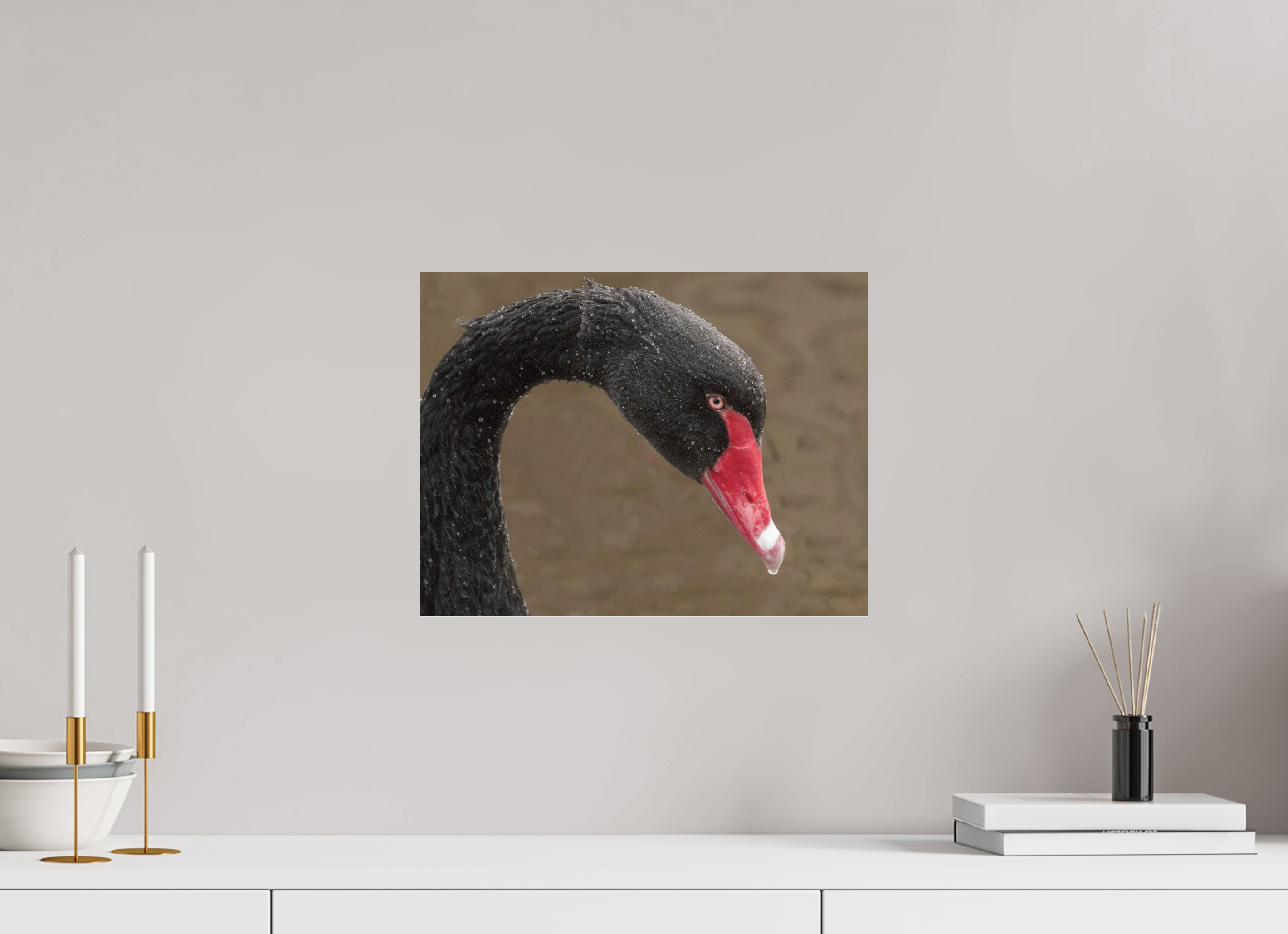 39 x 30 cm, Premium Acrylic Print – Glossy Emerging