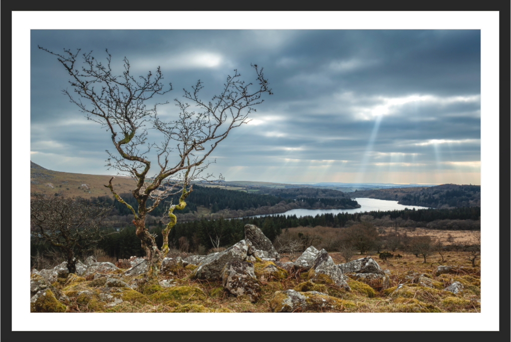 Main image Where the Light Breaks — Dartmoor