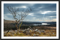 Main image Where the Light Breaks — Dartmoor