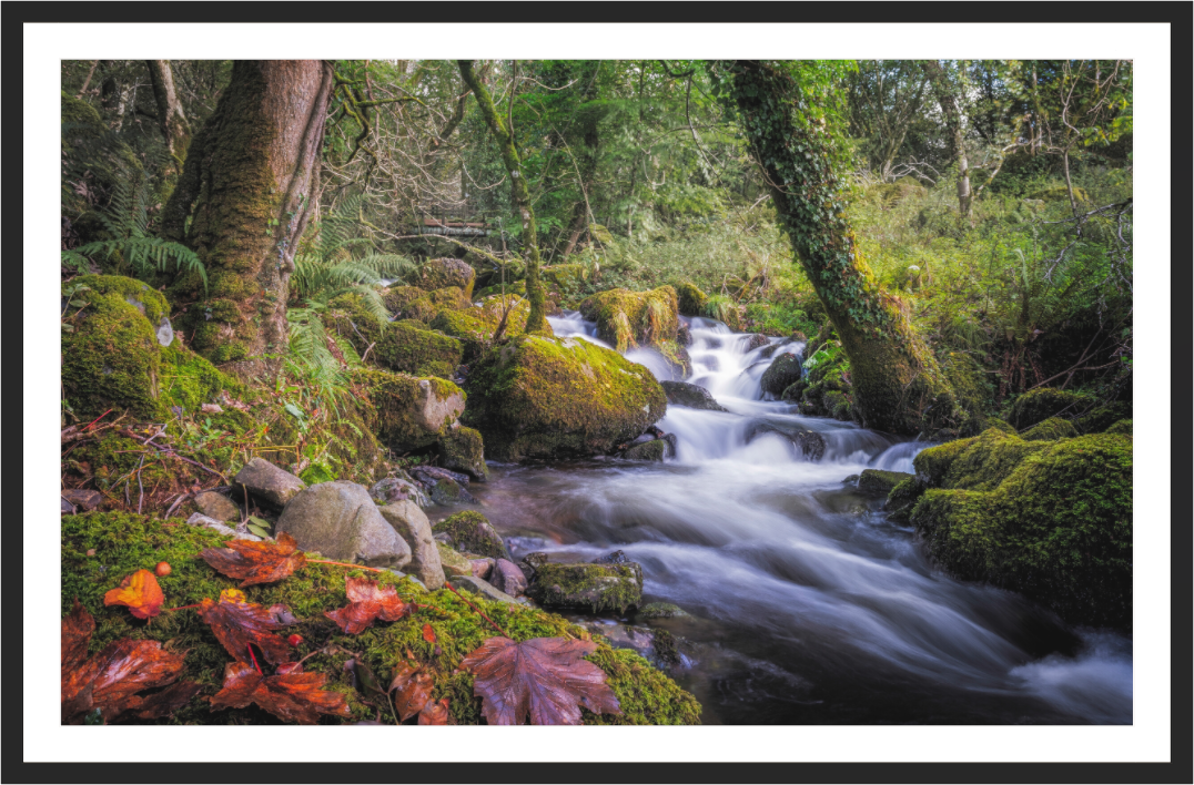 Main image Autumn Flow — Dartmoor