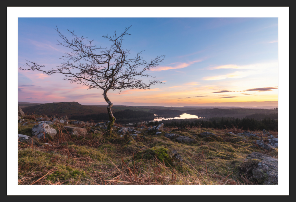 Main image Sentinel at Sunset
