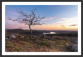 Main image Sentinel at Sunset