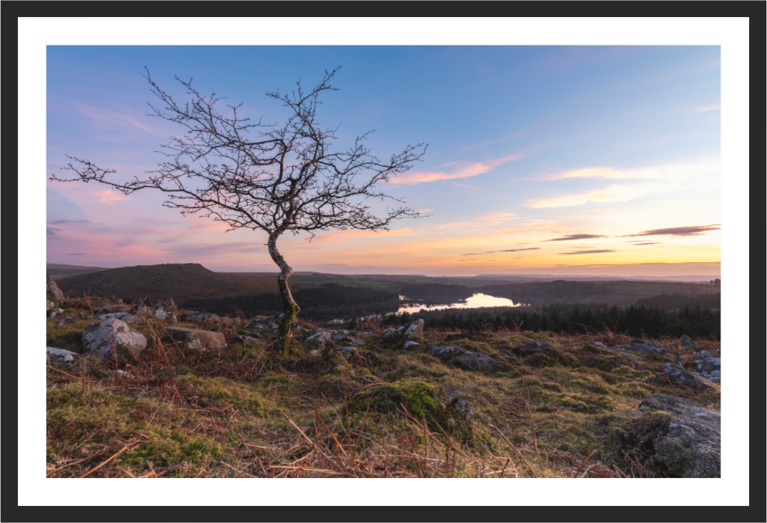 Main image Sentinel at Sunset
