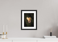 20 x 27.5 cm, Photo Rag – Black Frame – Museum Glass Nature’s Wings