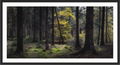 Main image Where the Light Finds You — Haldon Forest, Devon