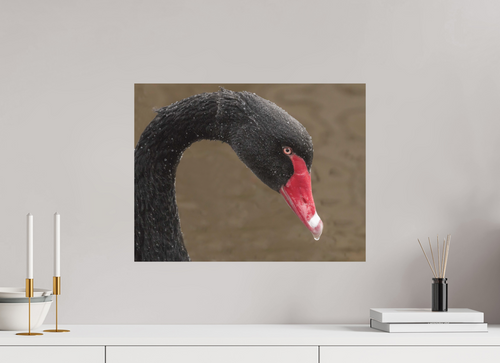 52 x 40 cm, Premium Aluminium Dibond – Matte Emerging