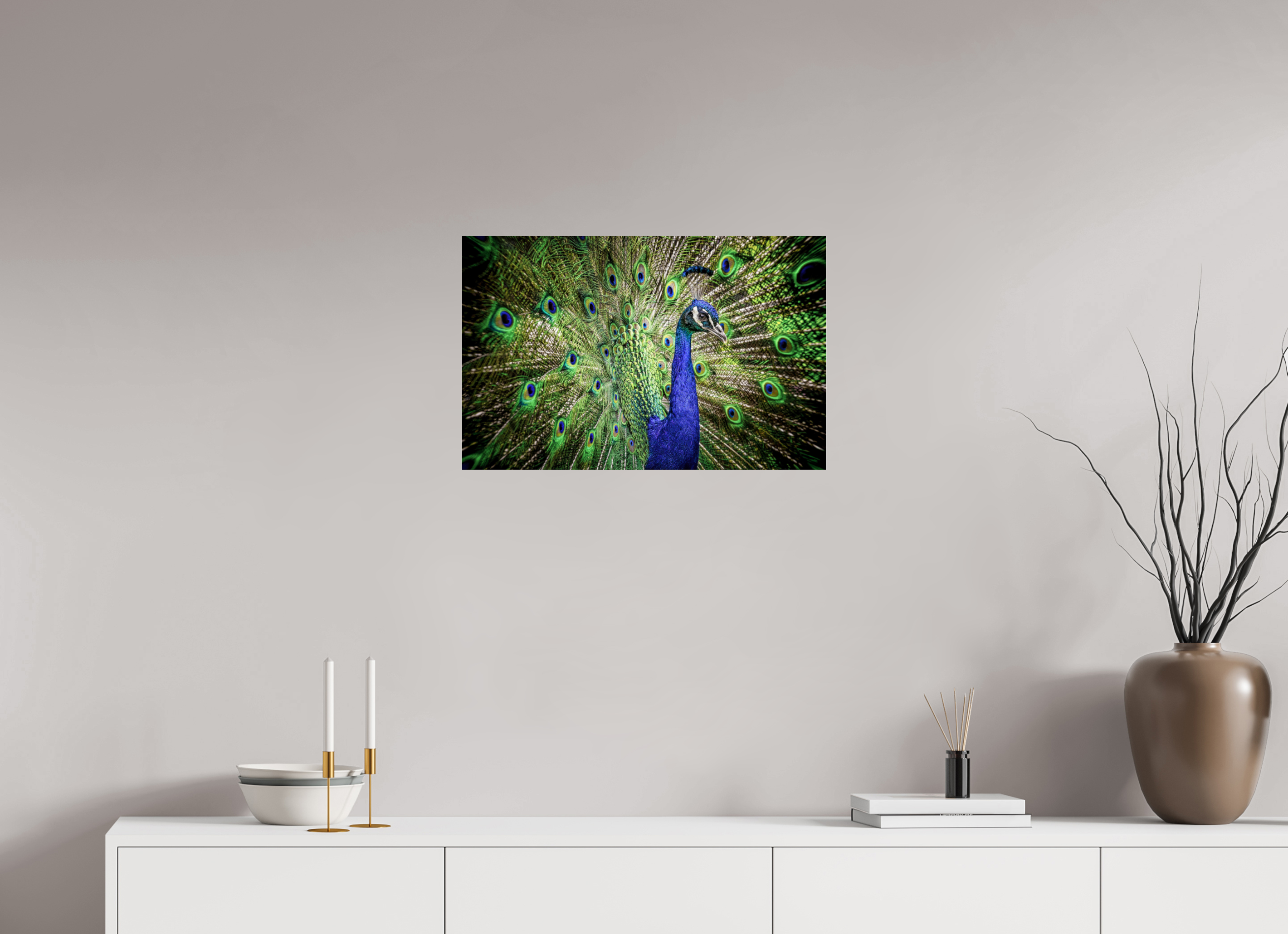 62.4 x 40 cm, Premium Acrylic Print – Glossy The Peacock’s Crown