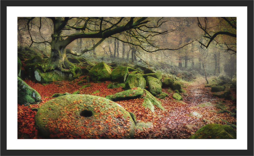 Main image Echoes of Padley Gorge