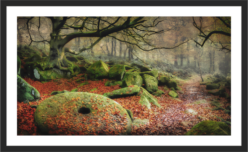 Main image Echoes of Padley Gorge